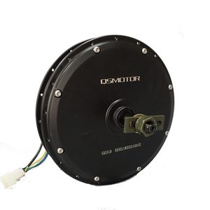 Electric Hub Motors